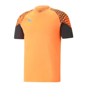 Camiseta Futbol Hombre Puma Individualcup Training Jersey