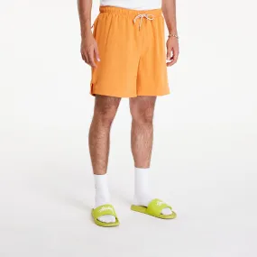 Dime Secret Swim Shorts